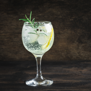 Gin tonic lemon